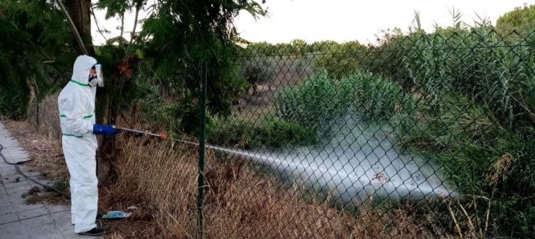 Ya son 40 los sospechosos de tener virus de la Fiebre del Nilo y 28 las muestras positivas