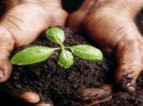 agroalimentacion-nueva-vision-del-estado_638265