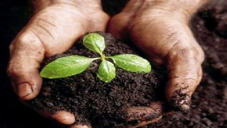 Exportaciones agroalimentarias españolas crecen un 5,9% en junio, hasta los 4.470 millones