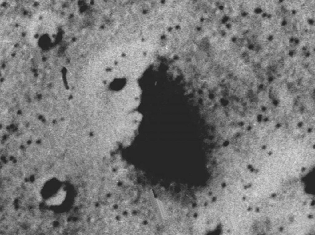 Objetos que tienes que mirar dos veces porque parecen tener vida