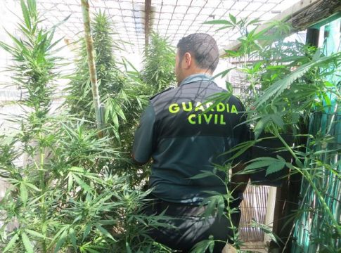 Imagen de archivo de una incautación de marihuana