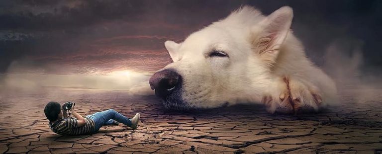 Cosas que jamás podrás hacer en tus sueños