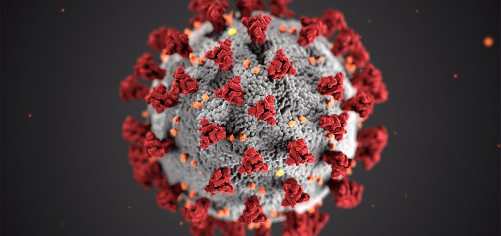 tamaño del coronavirus