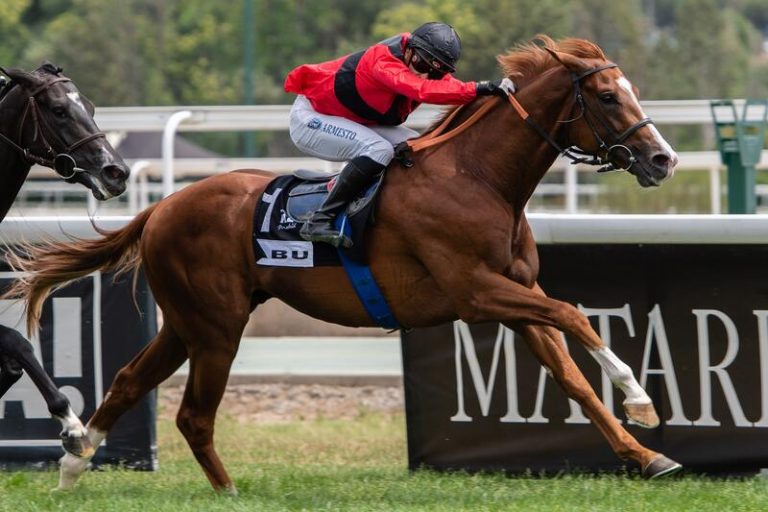 'Abu' y 'Navia' se imponen con autoridad en el Derby y el Oaks españoles