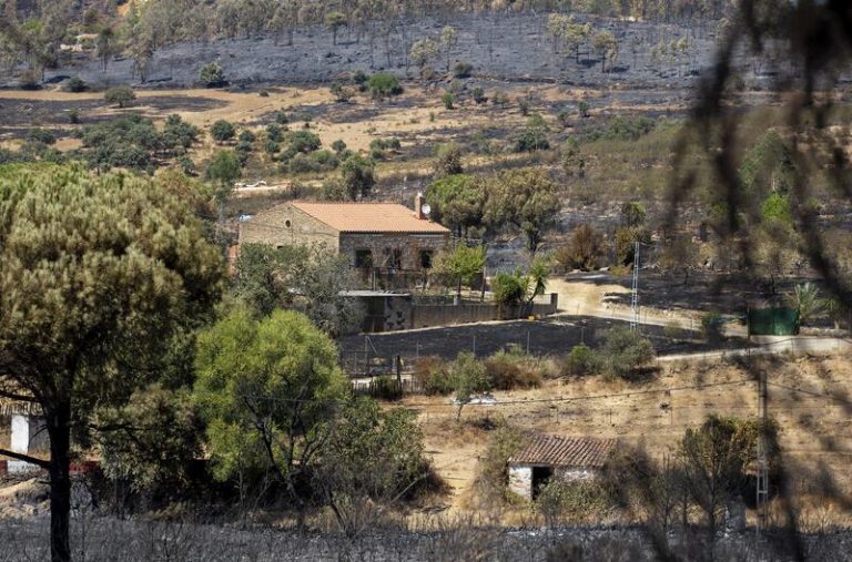 Junta y asociaciones agrarias evalúan los daños del incendio de Almonaster