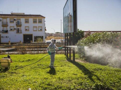 confirmado-caso-virus-nilo-amposta-tarragona confirmado-caso-virus-nilo-amposta-tarragona