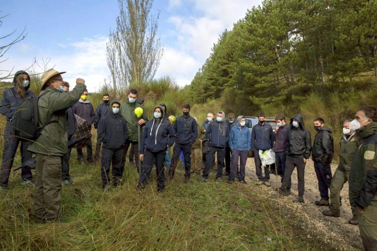 Pamplona ensaya en Ezkaba un sistema de inventariación forestal