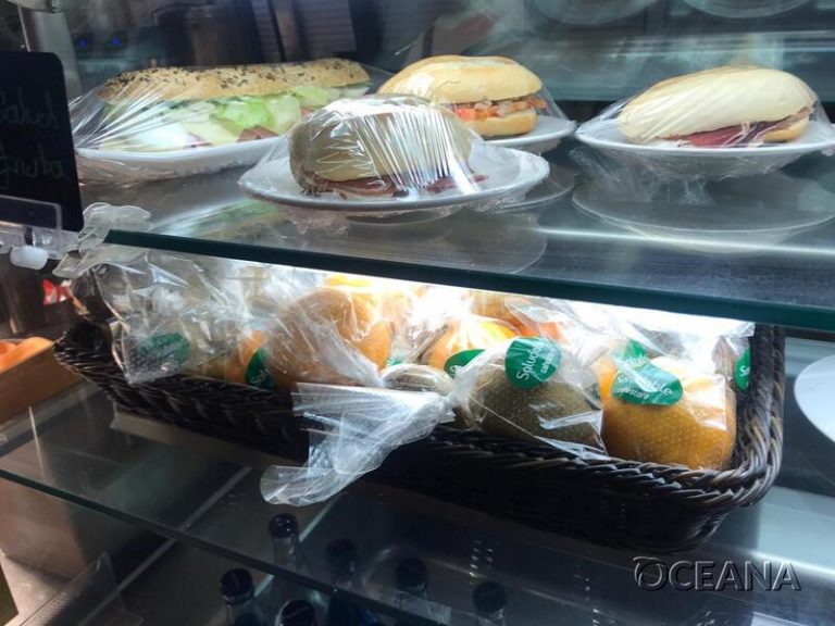 El Senado analiza actuaciones para reducir el plástico