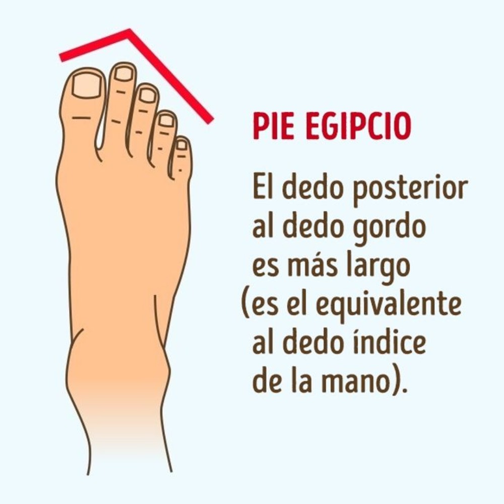 Esta es tu personalidad según tus pies 3 pie egipcio: los pies