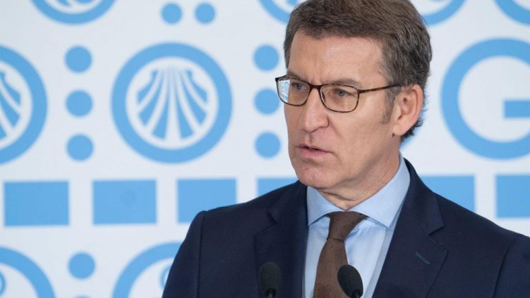 Feijóo traslada al Rey que 