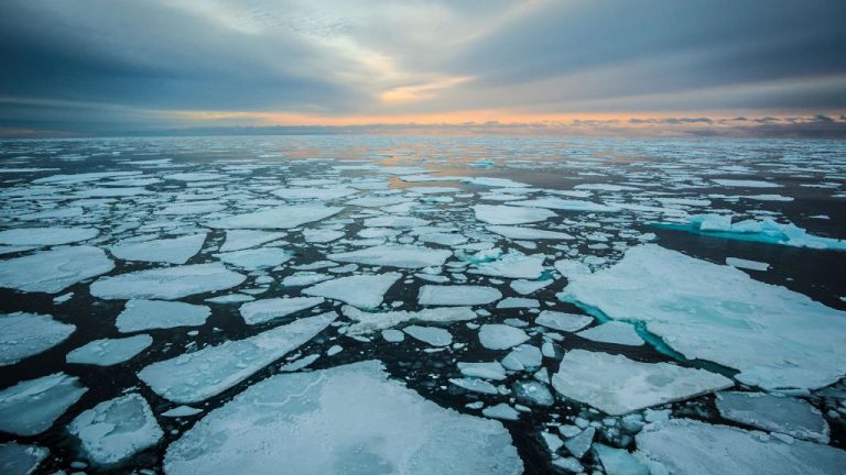 El Ártico está en transición a un nuevo estado climático, con menos hielo