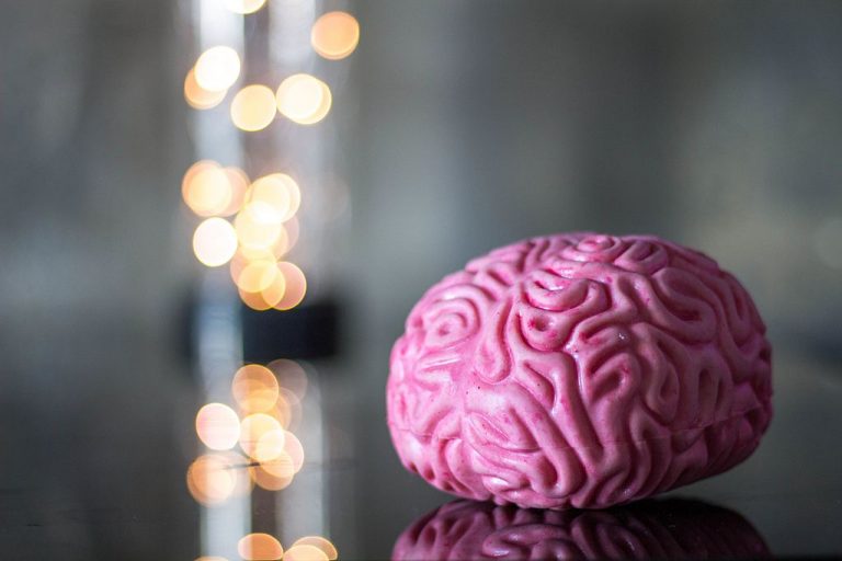 Cómo hacer que tu cerebro prefiera la fruta al chocolate