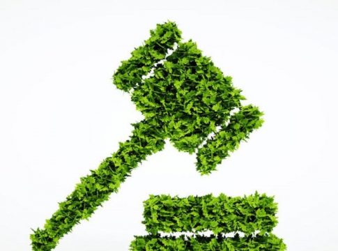 Delitos ambientales Delitos ambientales