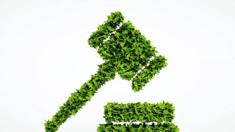 SEO/BirdLife destaca la actuación judicial frente a delitos ambientales