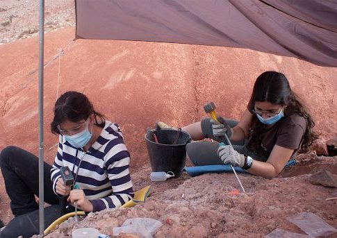 El yacimiento de huevos de dinosaurios El yacimiento de huevos de dinosaurios