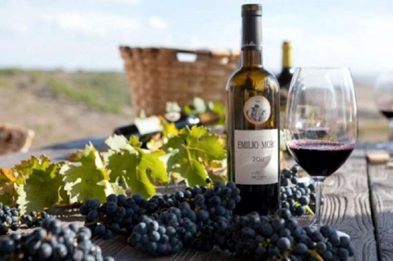 Finca Resalso 2020: la fuerza de la juventud