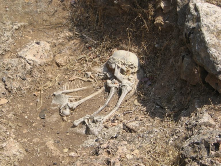 El Gobierno prevé encontrar con su plan de exhumaciones entre 20.000 y 25.000 víctimas en fosas en cuatro años