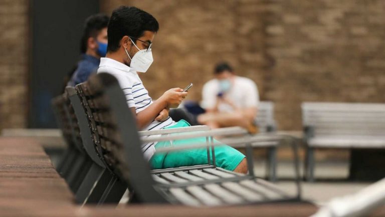 Investiga los cambios históricos en la estructura de ecosistemas terrestres