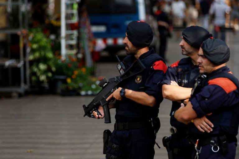 Intervienen 8.244 restos paleontológicos expoliados en 25 años en Barcelona