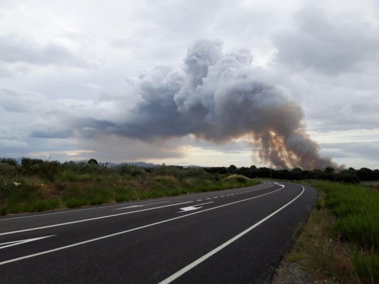 Los dos fuegos declarados en S' Albufera de Alcúdia continúan activos