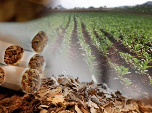 Mesa de Tabaco Mesa de Tabaco