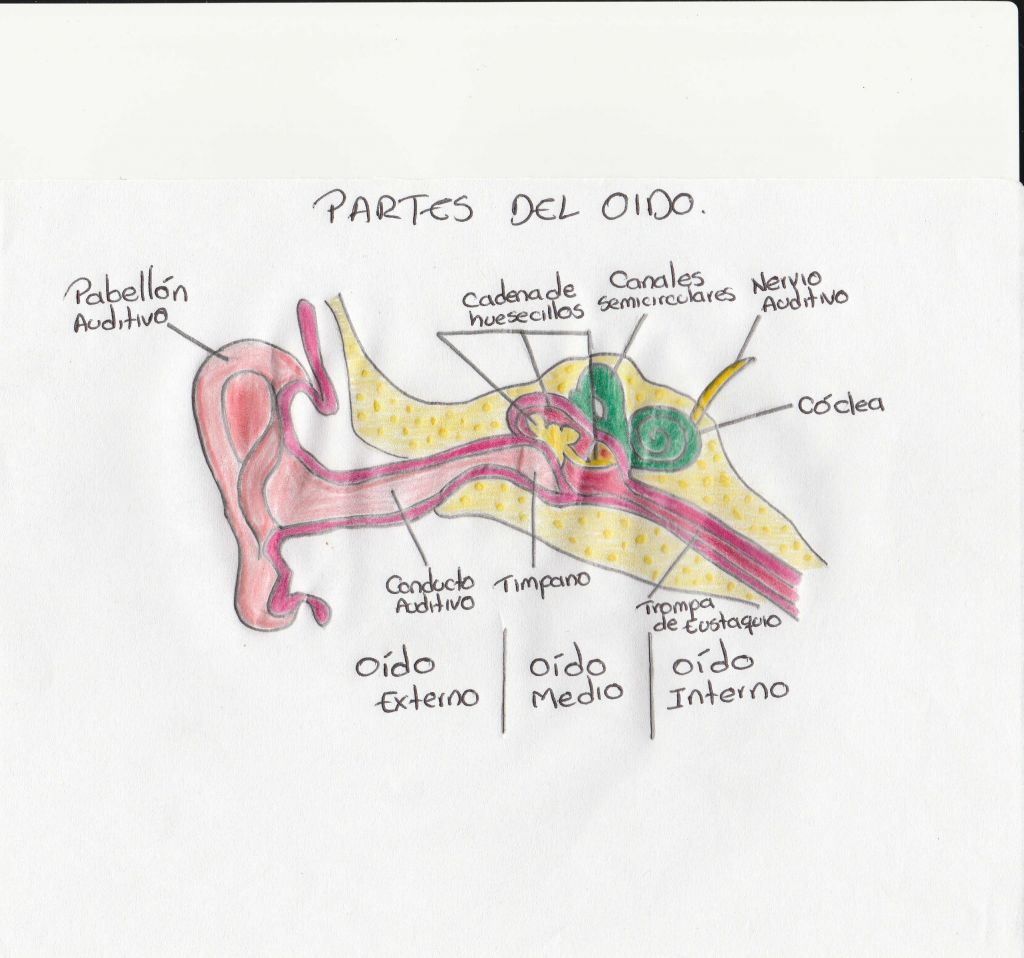 Qué es la contaminación acústica