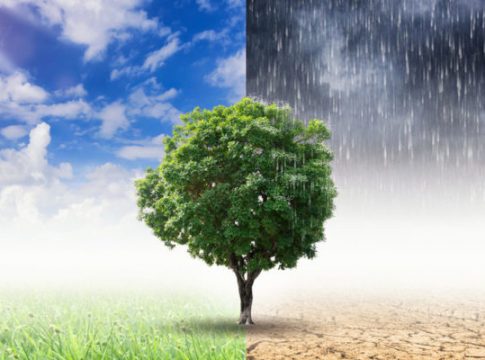 Qué es el impacto ambiental Qué es el impacto ambiental