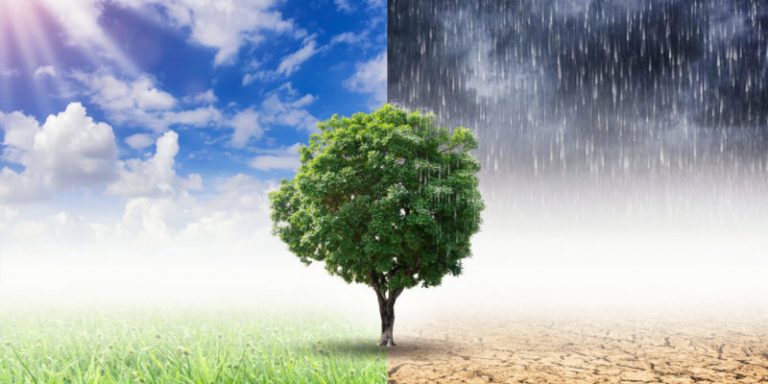 Ribera copresidirá el Consejo de la OIT para impulsar la 