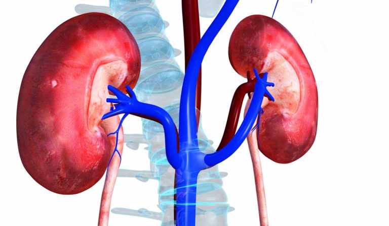 El Vhio participa en un estudio que puede suponer un nuevo tratamiento para el cáncer renal