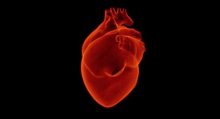 La mortalidad hospitalaria por infarto de miocardio se ha duplicado durante la pandemia