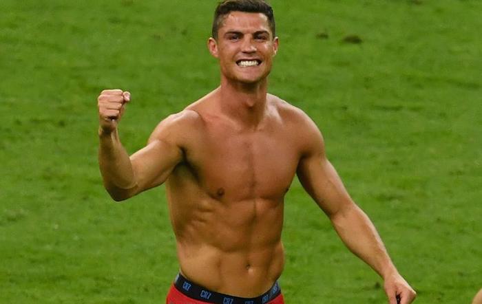 portugues-boxer-cuerpo