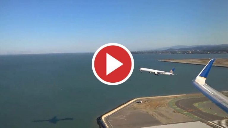 Pasajero capta el despegue paralelo entre dos aviones