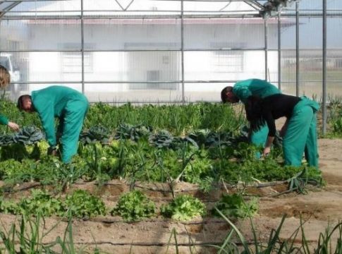 espana,-pais-ue-mas-irregularidades-gestion-fondos-agricolas España, el país de la UE con más irregularidades en la gestión de los fondos agrícolas