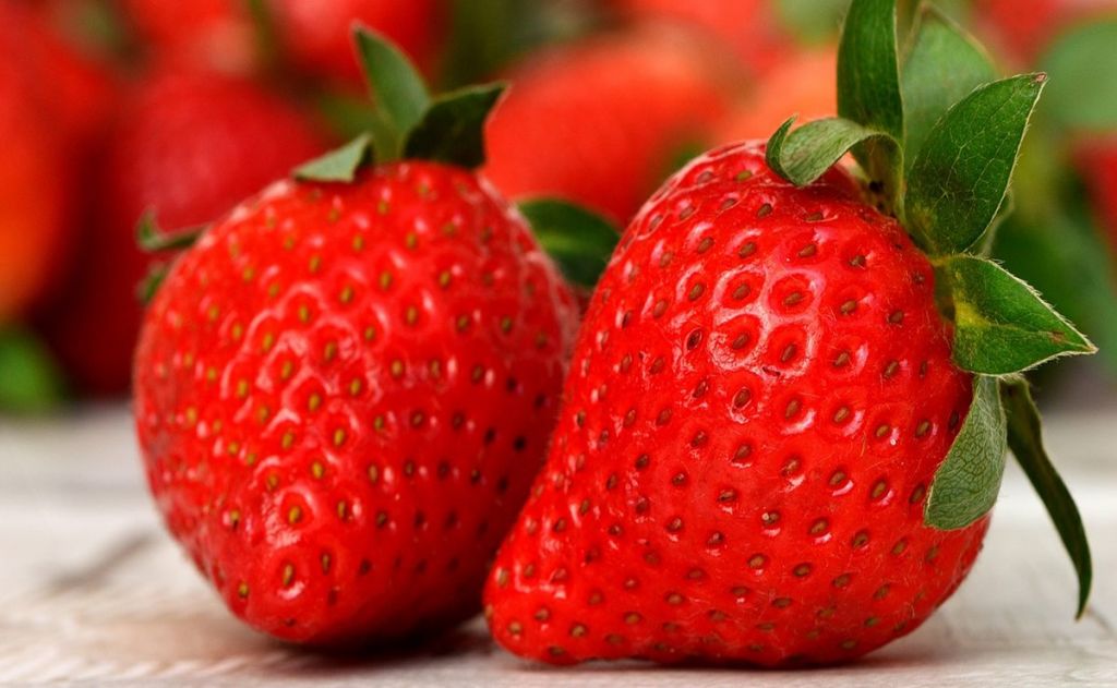 fresas
