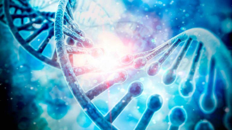 La edición del genoma para corregir enfermedades hereditarias 