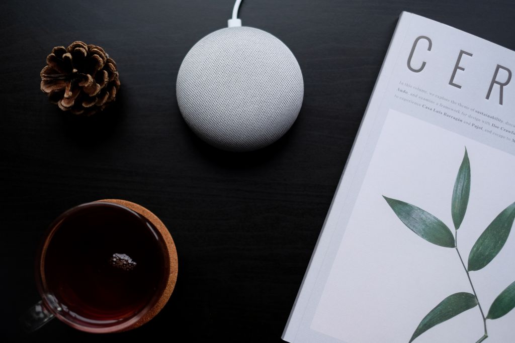 google home