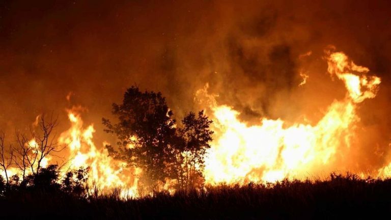 Investigada por un incendio forestal una sexagenaria vecina de Vilar de Barrio (Ourense)