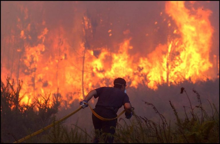 Los incendios de Ourense superan ya las 8.000 hectáreas quemadas
