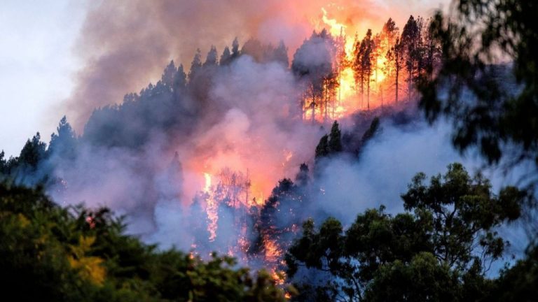PSOE gallego censura que la Xunta fíe la lucha contra los incendios a 