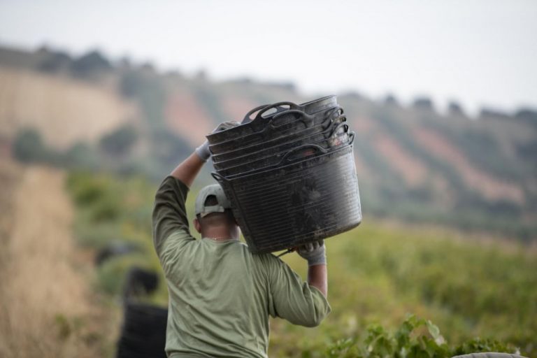Los inmigrantes, pese al alto arraigo en España, siguen ocupando 