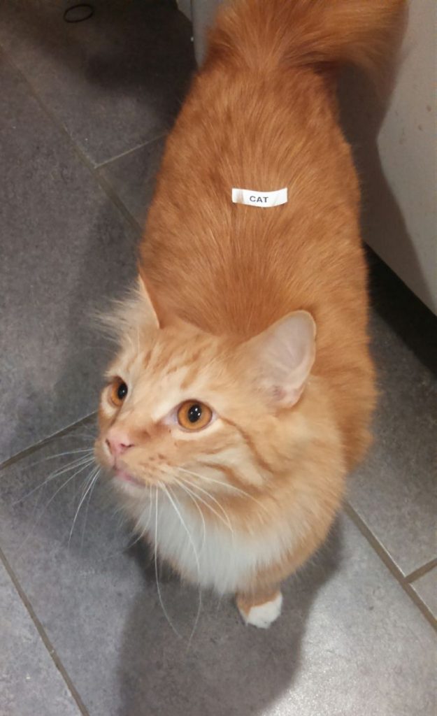 jugar pistola etiquetadora