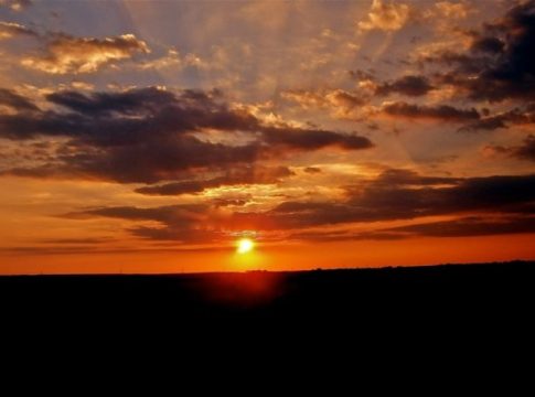 landscape-181484_1920-900x457-1