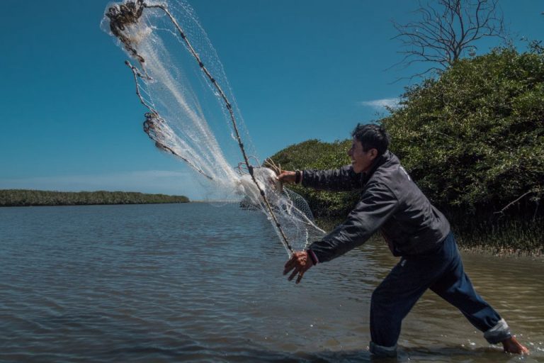 La secretaria general de Pesca aborda la aplicación de medidas de control de pesca
