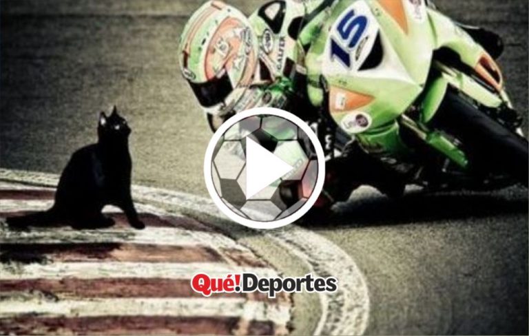 Así le explicas a tu esposa que un gato te arruinó tu carrera deportiva
