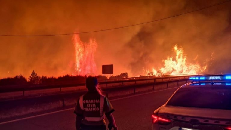 Más de 7.500 hectáreas arrasadas por los incendios que afectan a doce municipios de Orense