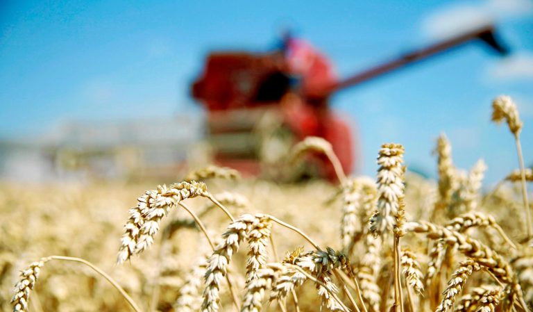 Planas defiende la PAC como instrumento de consolidación de la familia