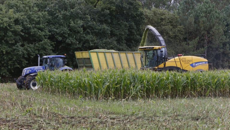 El Gobierno modifica la normativa de subvenciones a programas plurirregionales