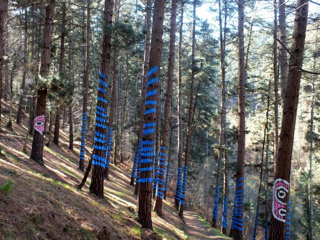 senderismo bosque de oma