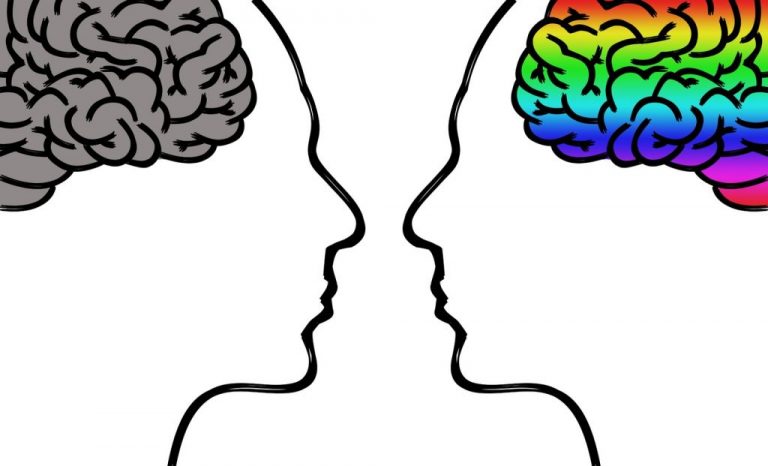 9 cosas que no sabías del cerebro