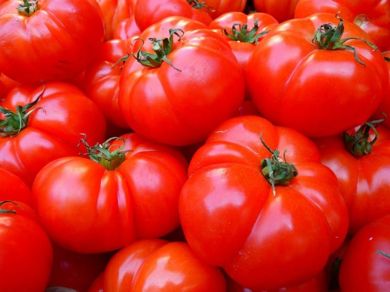 Los mejores tomates que puedes encontrar en el supermercado